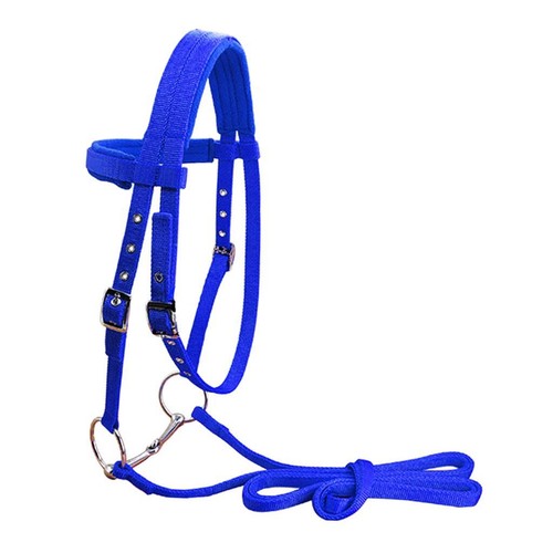 Cheval bride rein harnais - cheval,