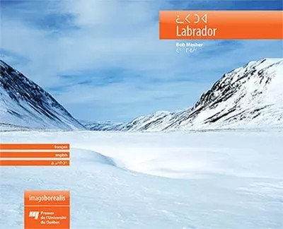 Labrador bob mesher - labrador,,