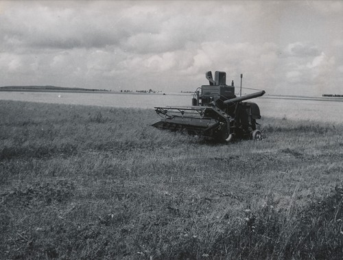 Vers reims 1955 faucheuse - c.,
