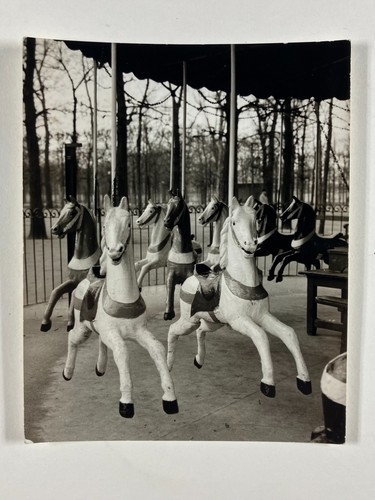 Photo curiosity manege - photo,