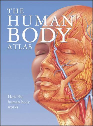 The human body - human, :