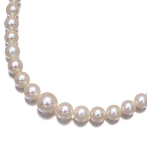 Auth mikimoto necklace akoya - necklace,