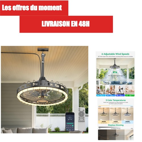 Ventilateur plafond 52cm - plafond,