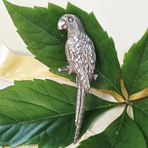 Broche perroquet argent - en,