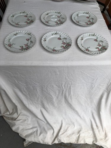 Assiettes plates - assiettes,
