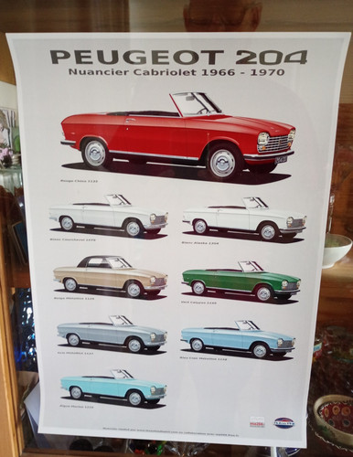 Affiche nuancier peugeot 204 - nuancier,