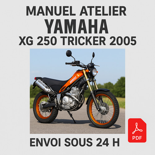 Manuel atelier yamaha 250 - manuel, xg