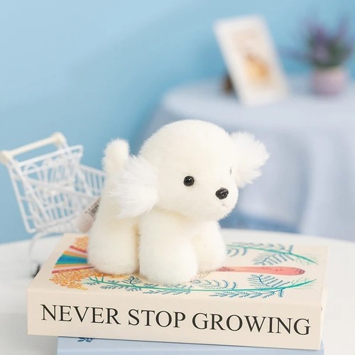 Bichon dog standing inch - standing,