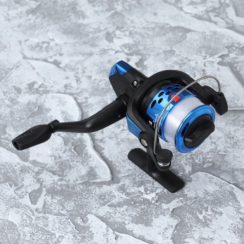 Freshwater fishing for fly - ,