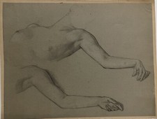 ARM STUDY AND BUST ANONYMOUS PENCIL DRAWING ON GREY PAPER