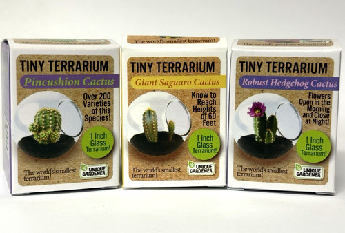 Tiny terrarium cactus pack - terrarium, cactus-pack