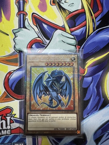 Dragon blanc aux - dragon,