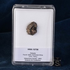 Météorite NWA 15738 de 3,90