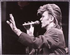 David Bowie Photographie B/W