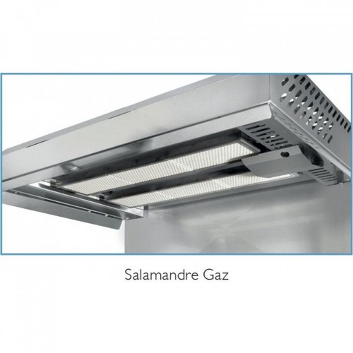 Salamandre gaz pro zones de - salamandre,