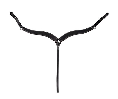 Randol cheval equitation - equitation, /