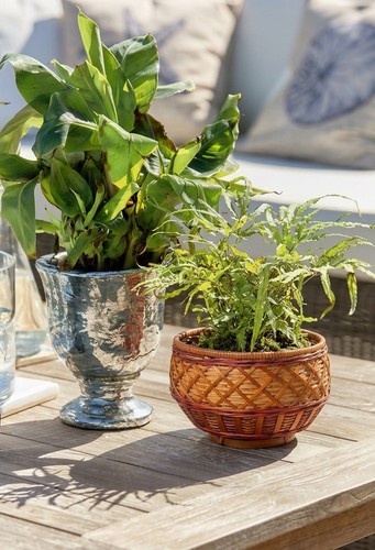Cache pot vintage