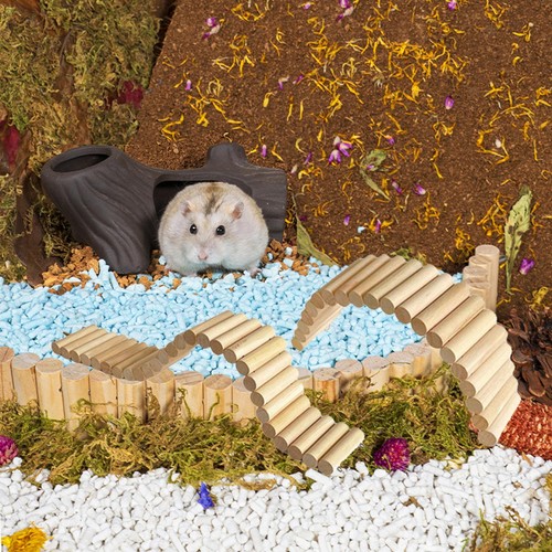 Hamster suspension bridge - 2x,