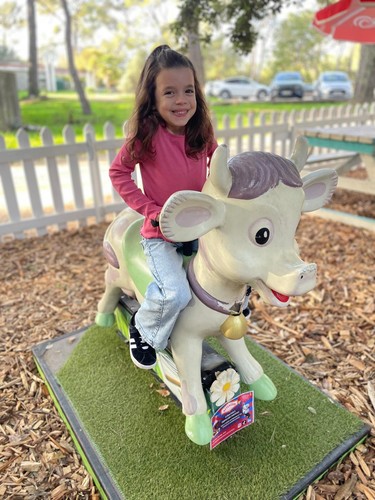 Manège enfant vache place - manège, 1