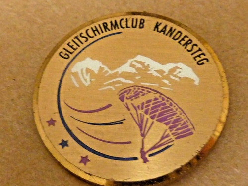 Pin pins badge - pin's,