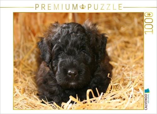 Calvendo puzzle ein motiv - calvendo,