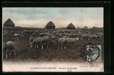 Old postcard Villeneuve-Saint-Georges, Sheep in Pasture 1907 