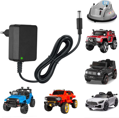 Chargeur 12v pour voiture - pour,