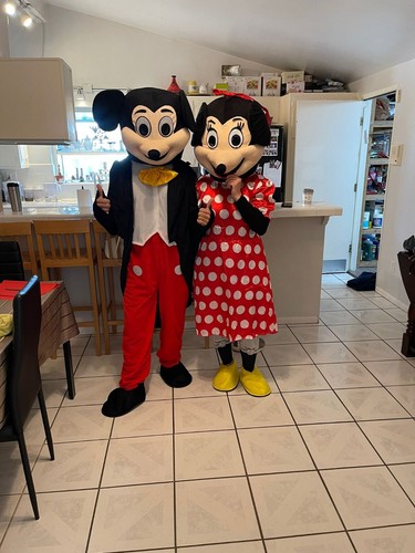 Adulte mickey minnie mouse - mickey, &