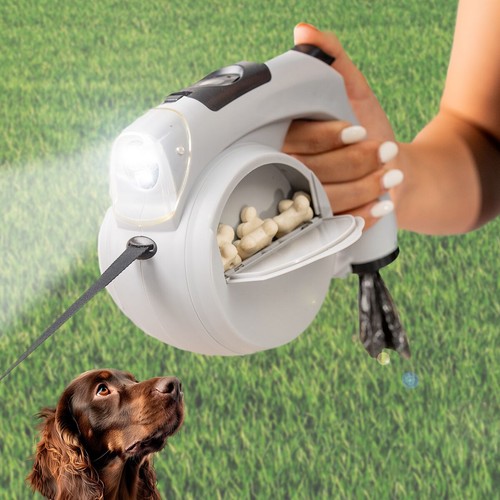 Laisse chien rétractable en - laisse,
