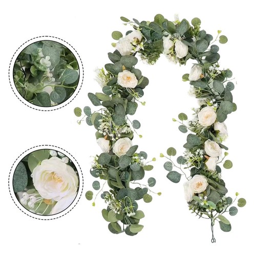 Eucalyptus rose vigne - eucalyptus,