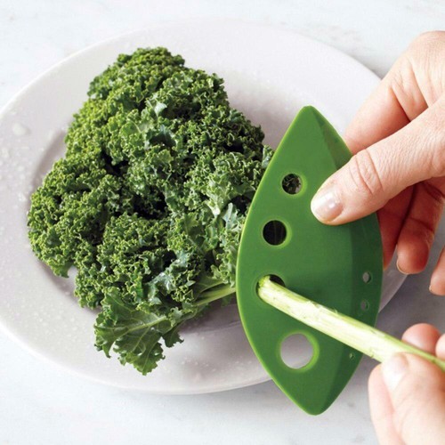 Herb stripper kale rosemary - herb,