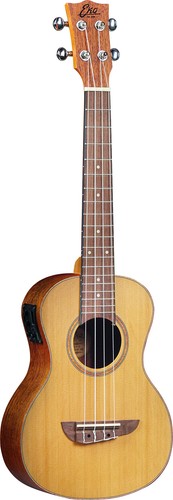 Guitars uku evo ukulélé - guitars,