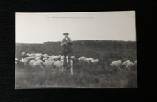 CPA 40 - Dans les Landes -