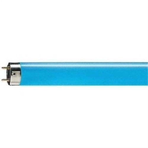 Tube néon bleu - t8, 150