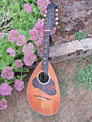 Ancienne mandoline signée - ancienne,