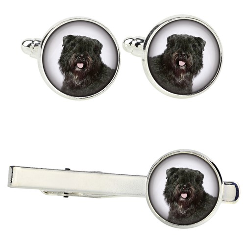 Bouvier des flandres - flandres, ensemble