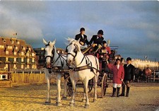 14-START DE PROMENADE A HORSE-N�T261-C/0035