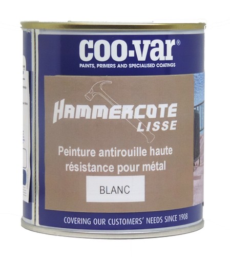Coo var peinture métal - coo-var,