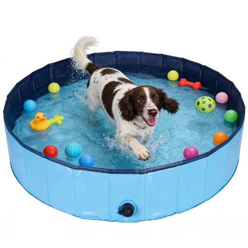 Piscine pliable pour - pliable, chien