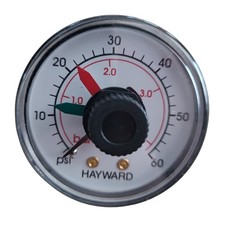 Manomètre NPT Métal Hayward