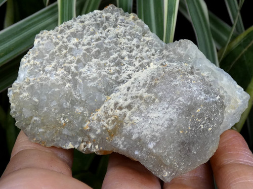Fluorite neigée cristaux