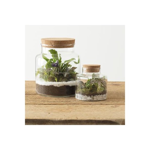 Terrarium verre bovaj - en,