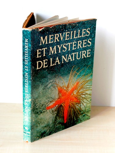 Livre merveilles mysteres - merveilles, et