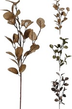 Branche Décorative Avec Des