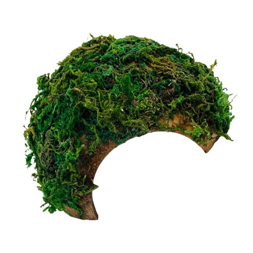 Ornement terrarium grotte - terrarium,