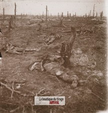 Chemin des Dames, cadavres