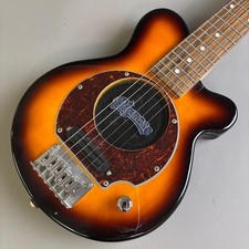 Pignose PGG-200 (no251030)