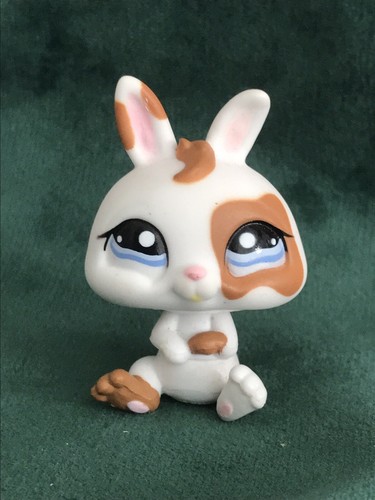 Petshop lapin nain - lapin,