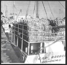 1964  --  DOUARNENEZ . LE LANGOUSTINIER CAP BARBAS . 3Y101