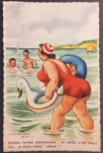 Carte postale humoristique - postale,